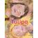 Tulipa